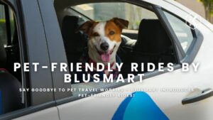 Pet-Friendly Rides by BluSmart